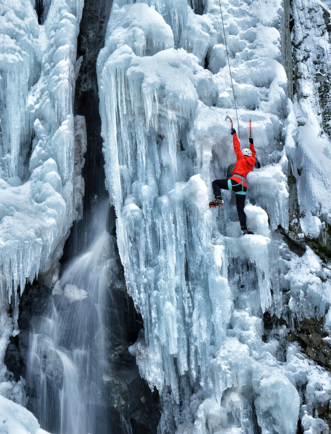 The Alpinist
