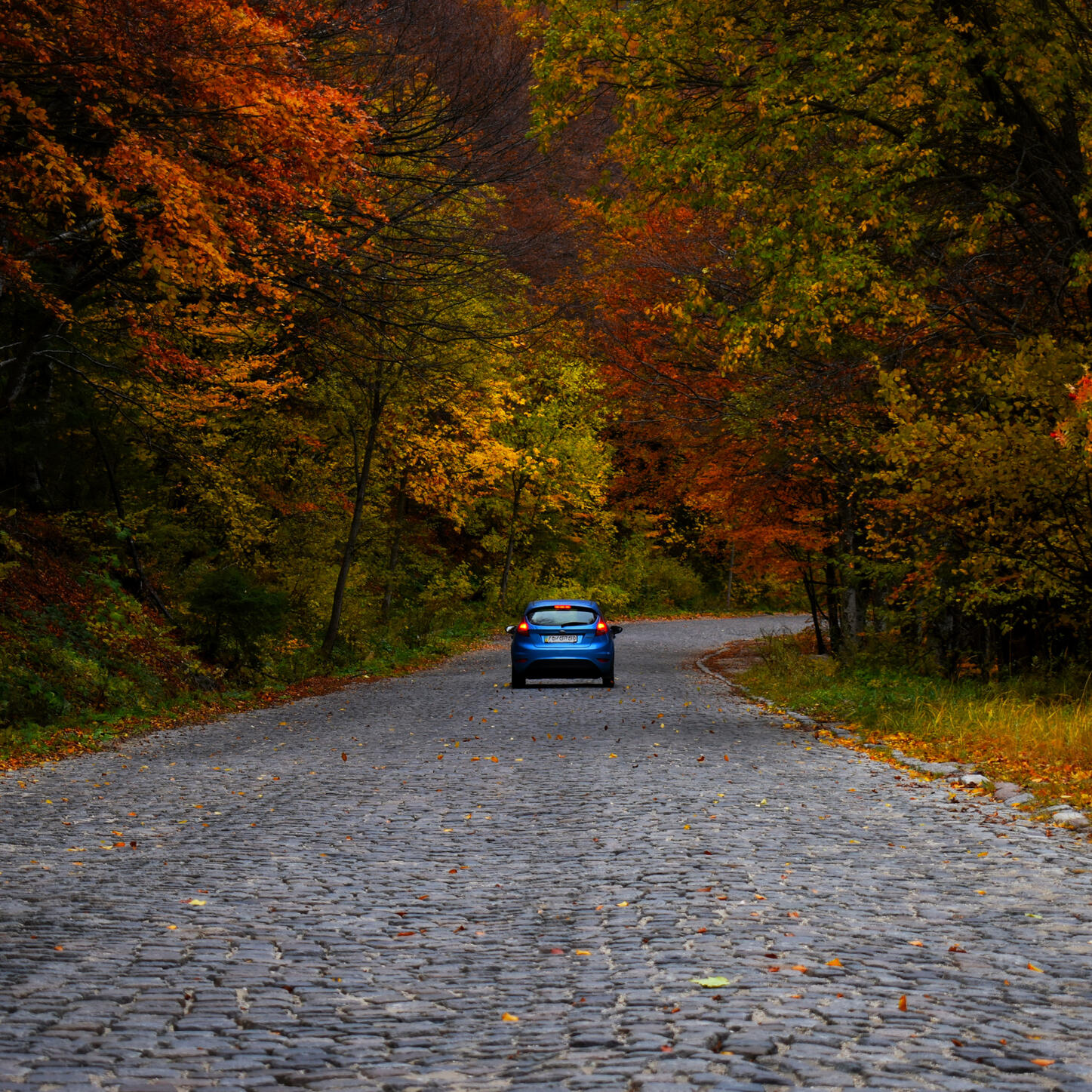 Autumn Ride