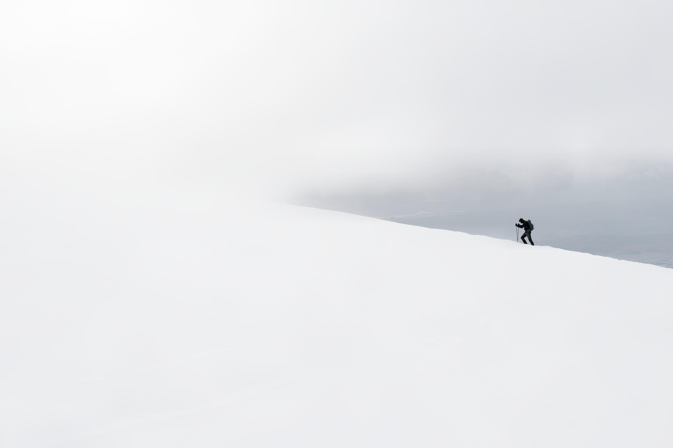 The Lonely Hiker
